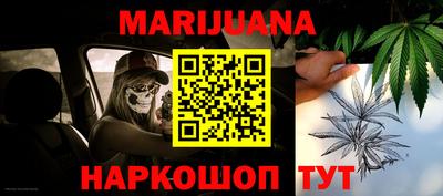 прущие грибы Малоярославец