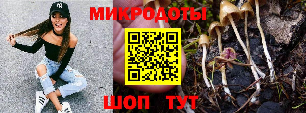 купить  цена  Галлюциногенные грибы Cubensis  Вход с VPN  Сокол 